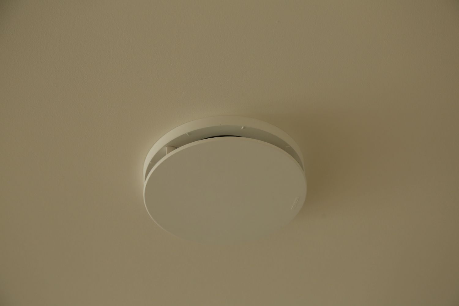 Foto: DF0B2627 1500x1000pix