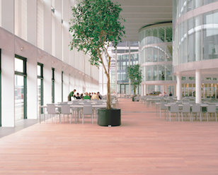 Foto: Bruynzeel Parket projectvloeren 308 248