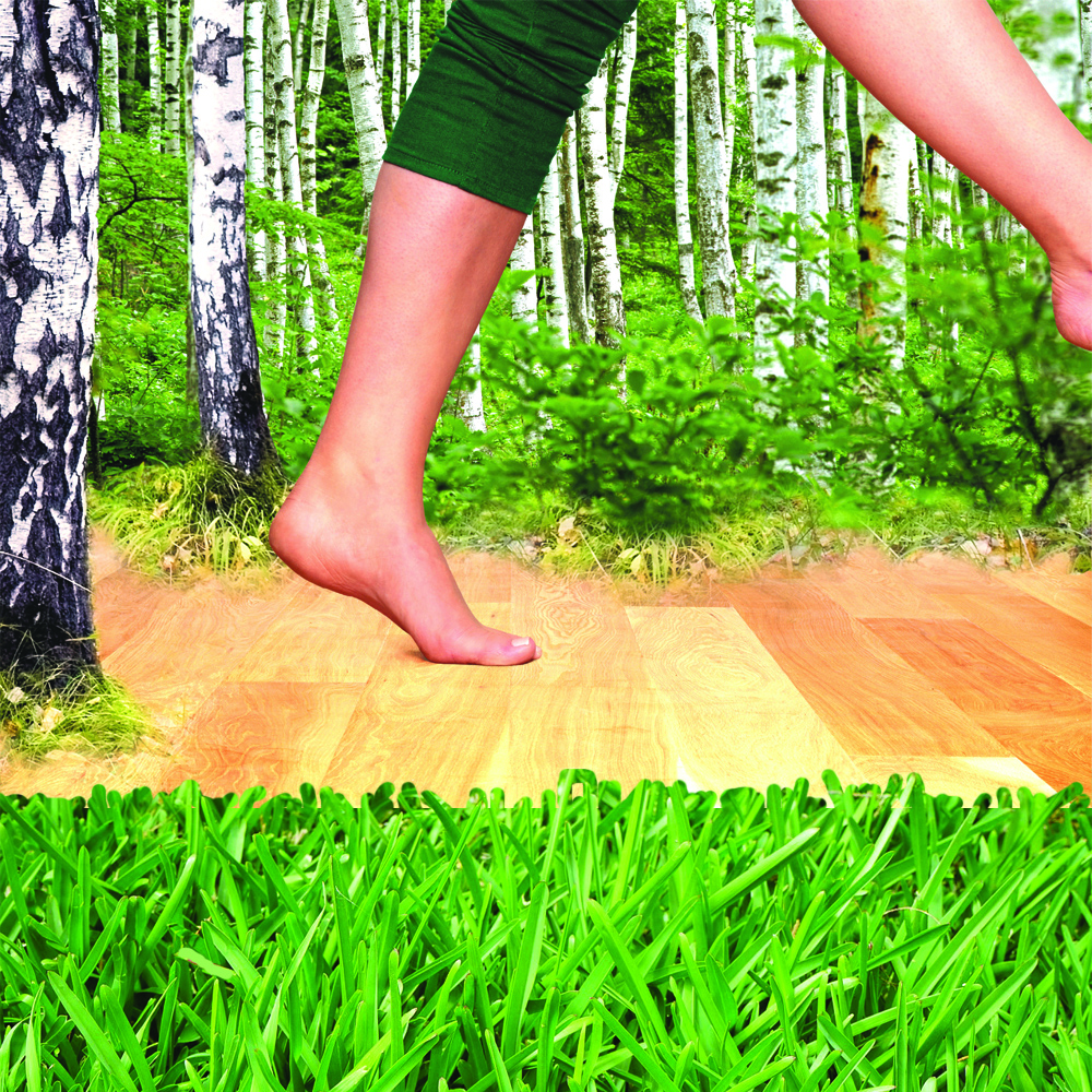 Foto: Lopen in het bos
