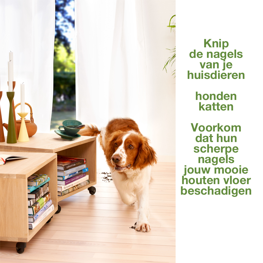 Tips_voor_de_houten_vloer/Huisdieren_nagels.jpg