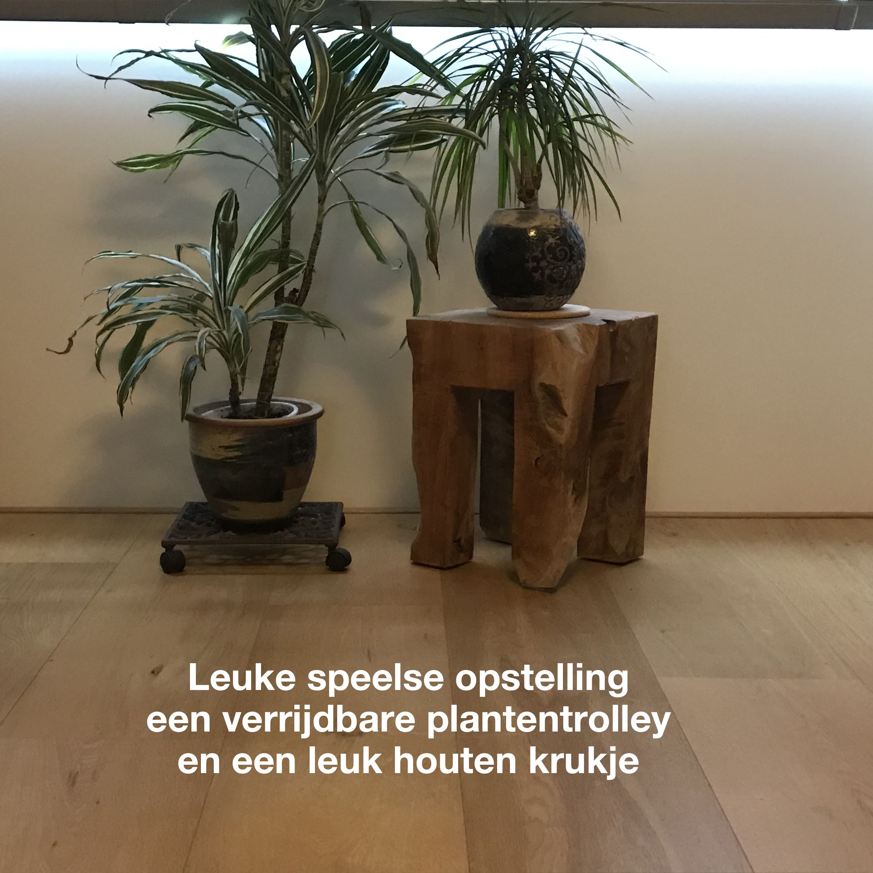 Tips_voor_de_houten_vloer/Planten2.jpg
