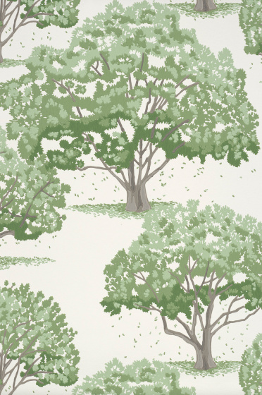 Foto: magnolia blossom hopper   1188 x 1788px