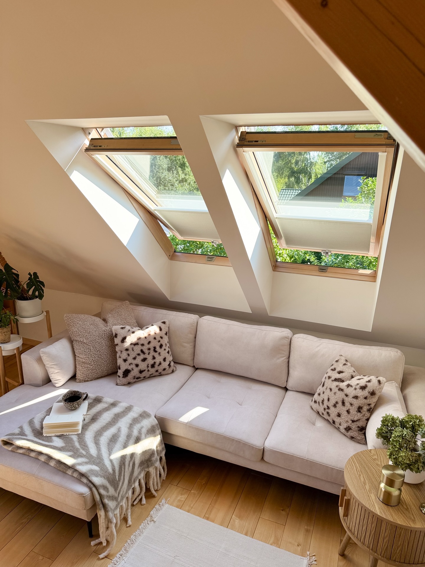 Foto : Zomergevoel, zelfs midden in de winter