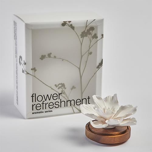 Foto: Hibiscus 3 500x500