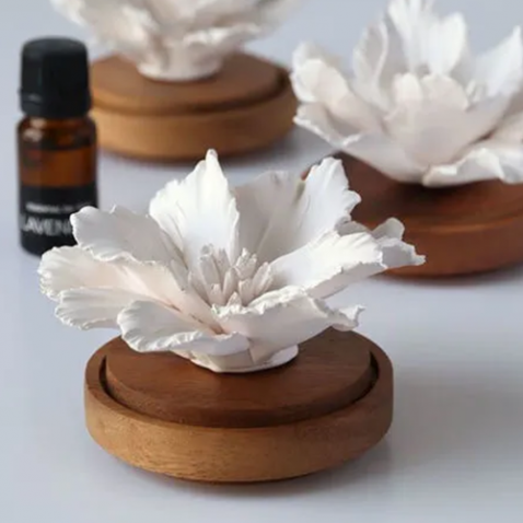 Foto : De Anoq Hibiscus is een meesterwerk