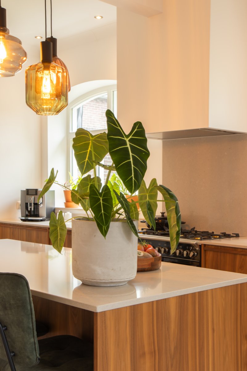 Foto: Mereno Salerno notenfineer mismatch keuken  5 