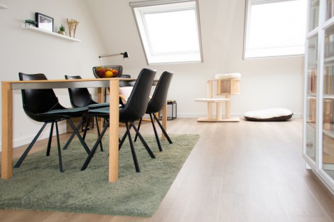 Foto : Binnenkijken | Appartement met onderhoudsvriendelijke PVC-vloer