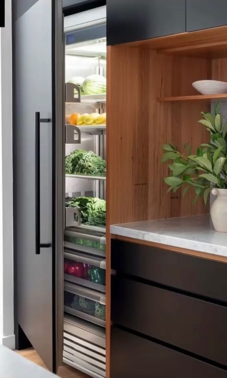 Foto: Wonenl semi professionele koelkasten van Fhiaba 02