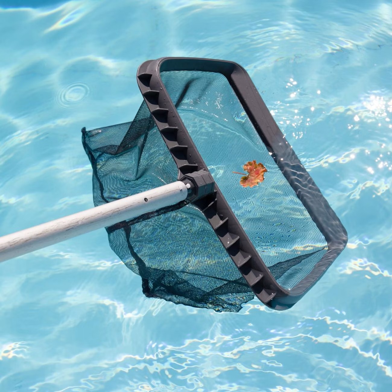 Foto : Onschuldige problemen die je zwembadervaring kunnen verpesten