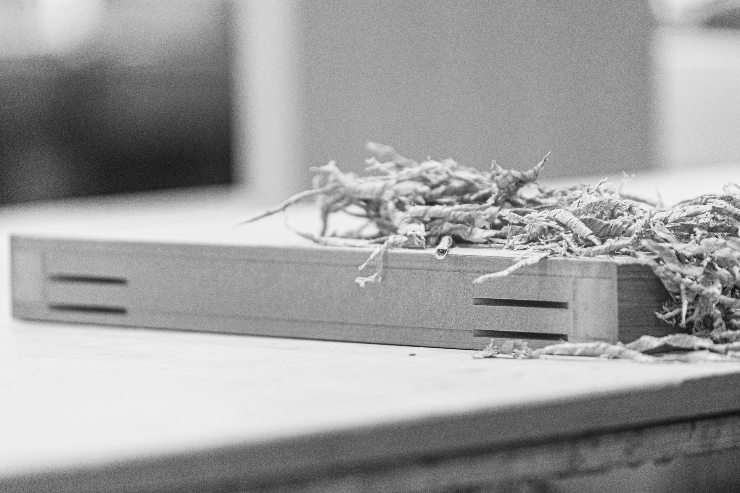 Foto: IMG 0726 zwart wit