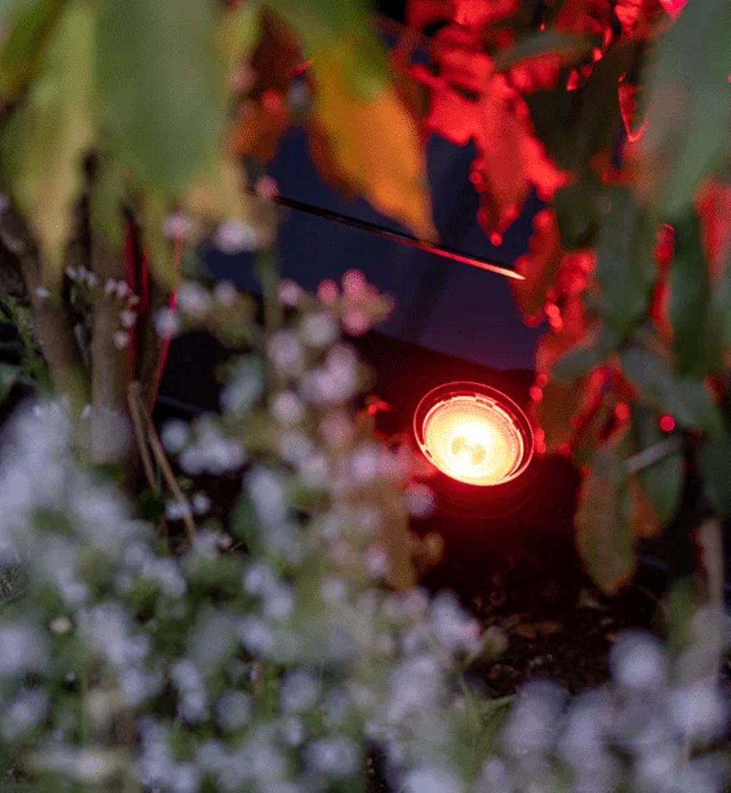 Foto: 1000x600 rood slimme verlichting kleur verlichting