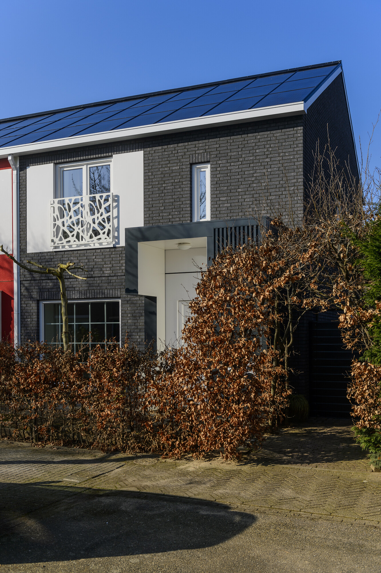 Foto: RS5529 20412427503 b7b31f68aa o 3d