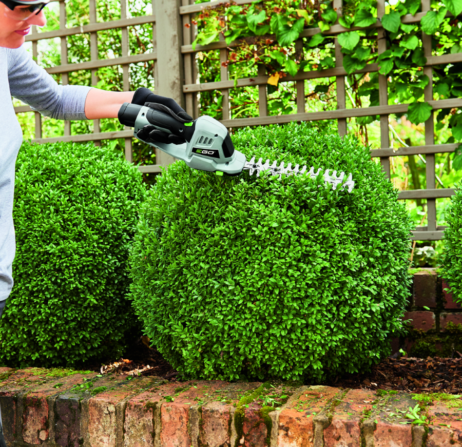 Foto: Schermafbeelding 2025 11 13 100521