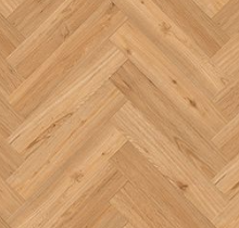 Foto: Schermafbeelding 2025 01 16 110856