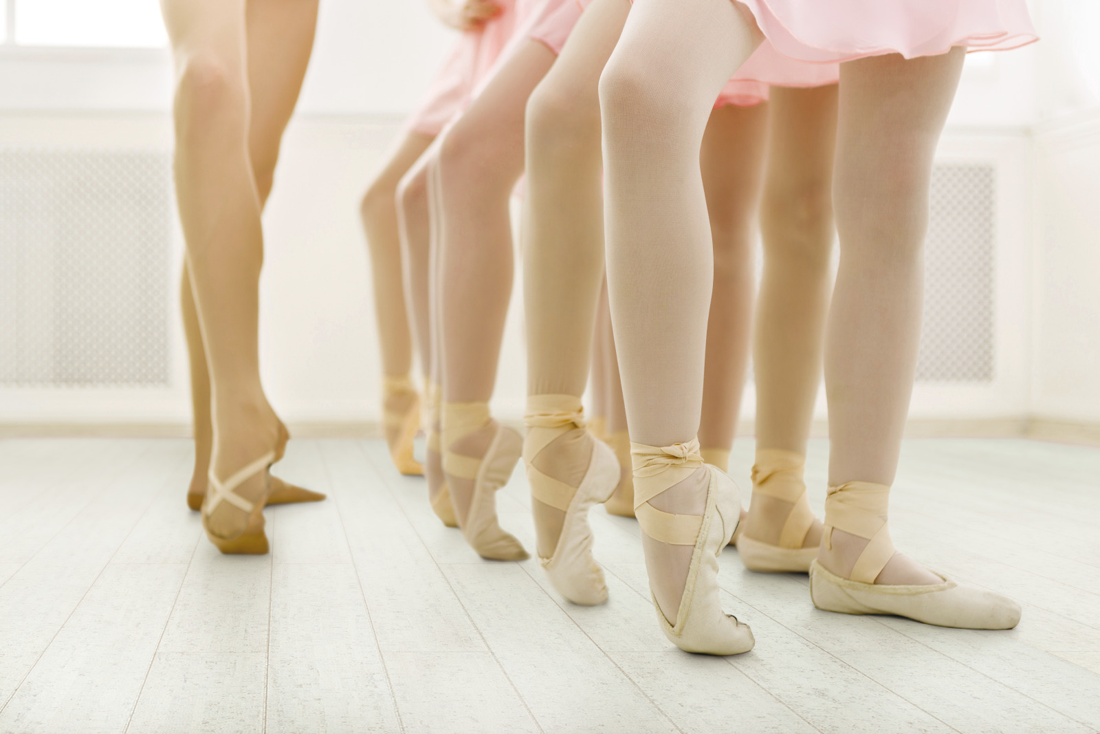 Foto: Lisutania lamel wit