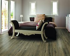 Foto: Limes forest oak