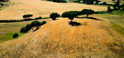 Foto: 500KurcoKurkvloeren2