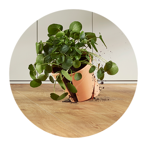 Foto: USP strong rigid