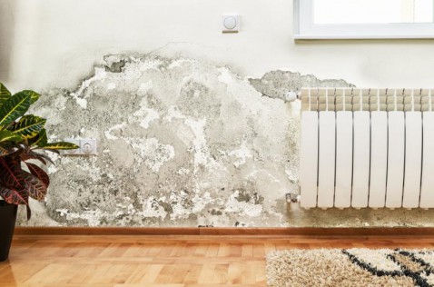 Foto : Last van optrekkend vocht?