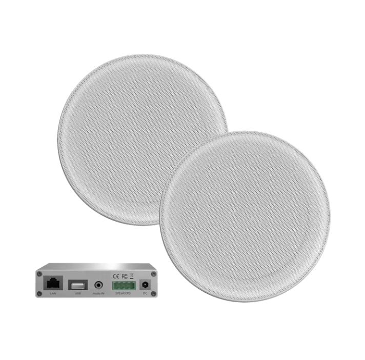 Foto: Scherm shy afbeelding 2025 06 25 om 15 29 18