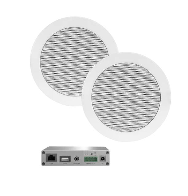 Foto: Scherm shy afbeelding 2025 06 25 om 15 29 37