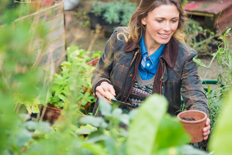 Foto: csm garten frau a0a60fd94b