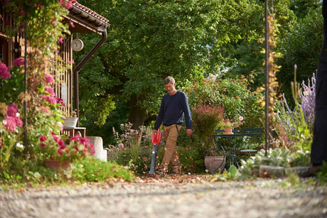 Foto: csm laubblaeser 678129bb9b