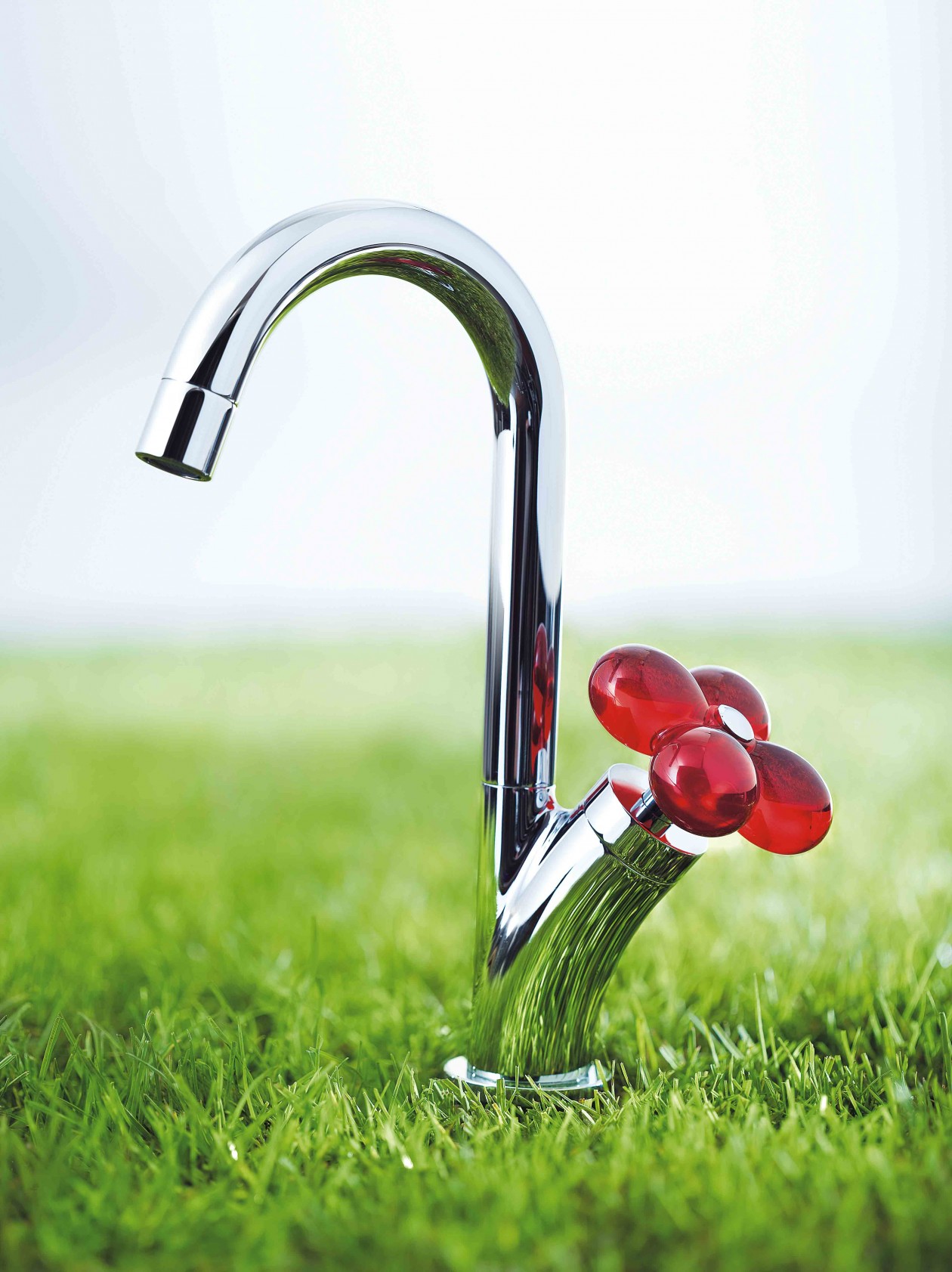 Foto: w3 FLEUR  60731