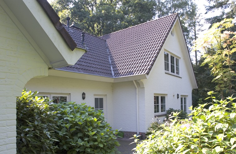 Foto: lavendel achtergevel