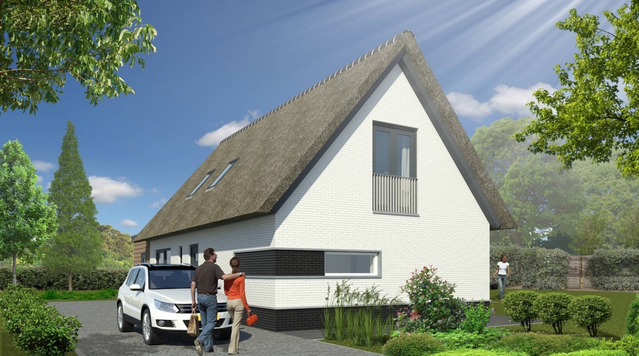 Foto: w3 VO 20 zijgevel witgekeimd