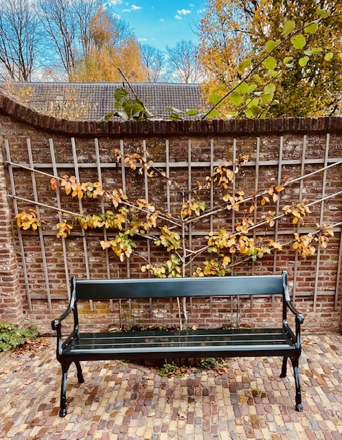 Foto : Gardeluxe - Afrodite