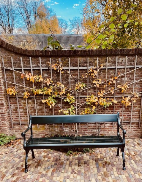 Foto : Gardeluxe - Afrodite