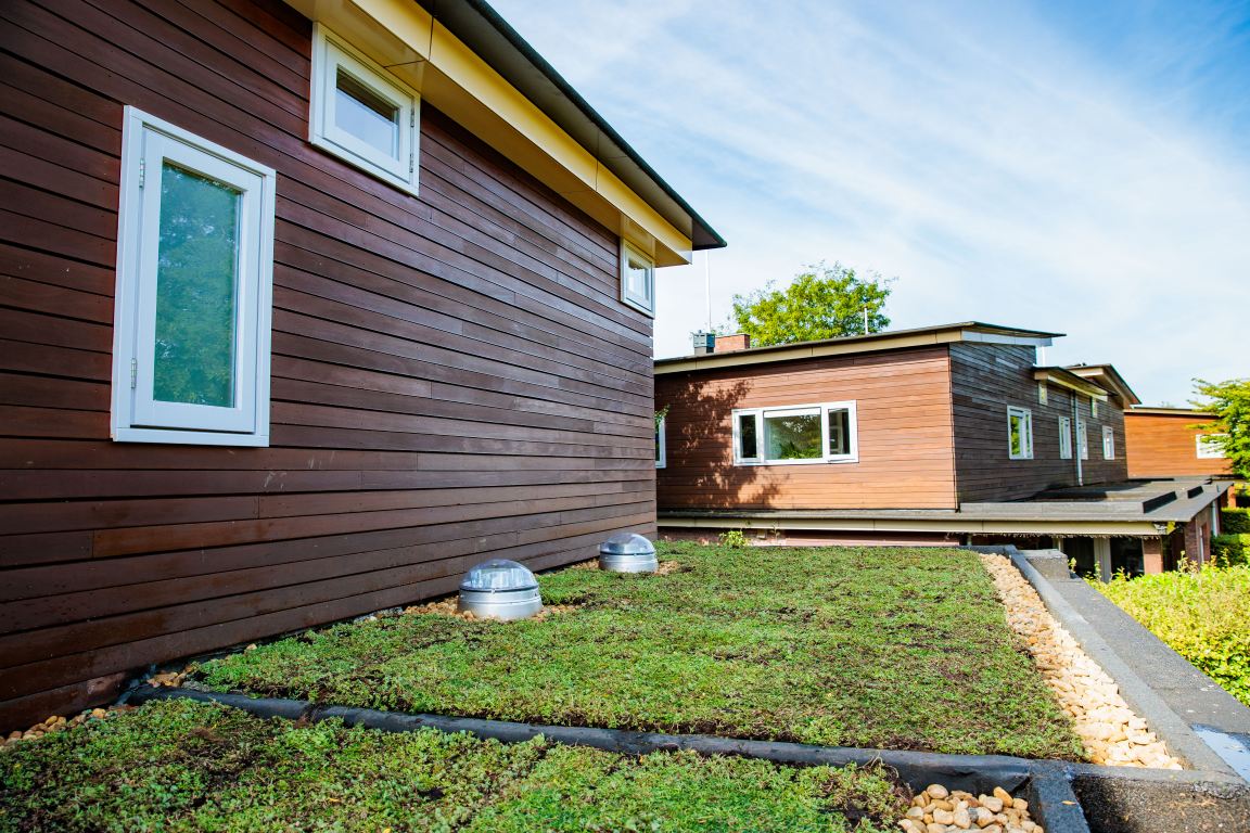 Foto: 20250827 zinkunie 21  wonen nl   1 