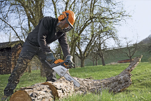 Foto: Op de grond zagenv1 rdax 90
