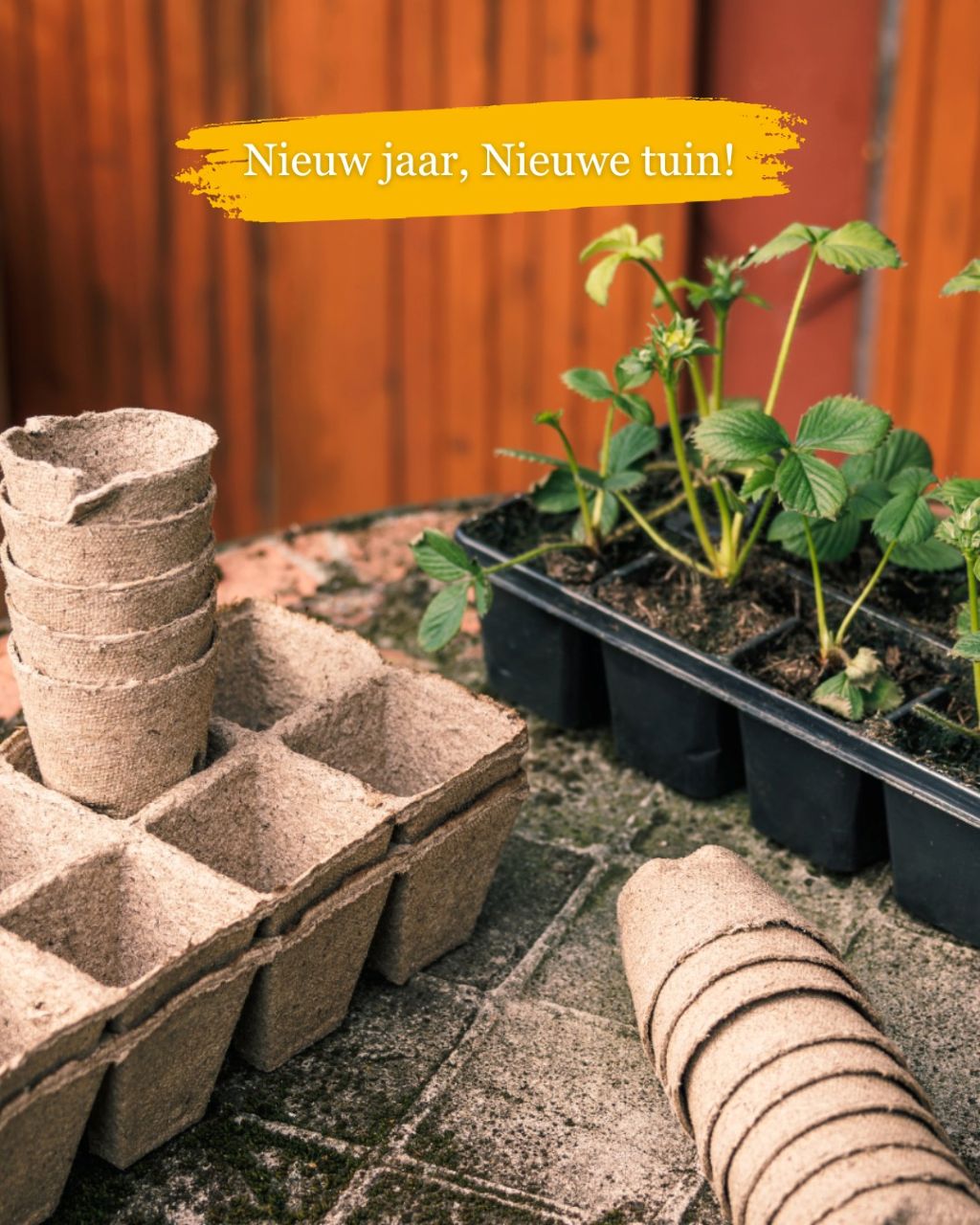 Foto: Wonennl Hozelock nieuw jaar nieuwe tuin nieuwe groei