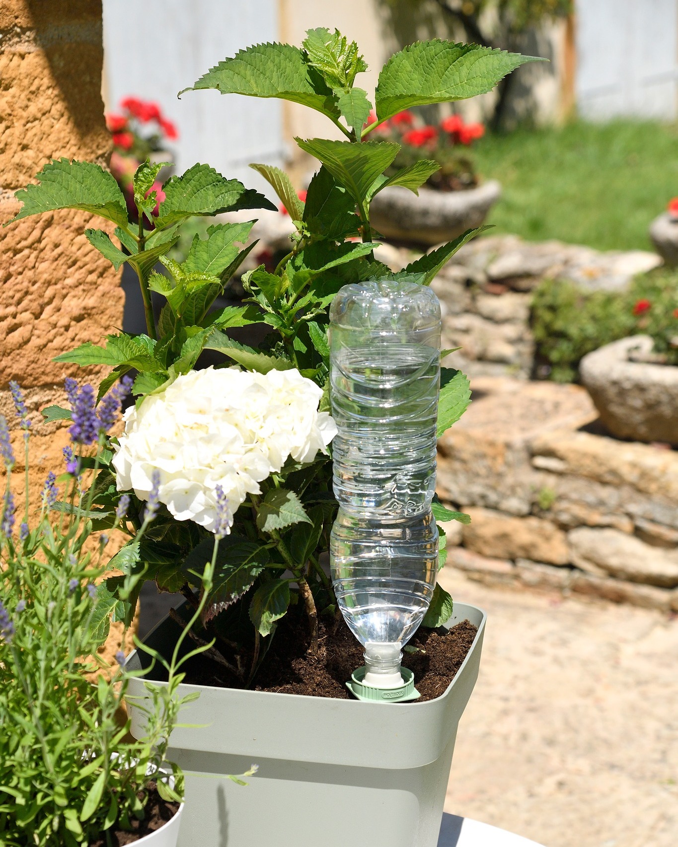 Foto: aquasolo universal cones wonen nl