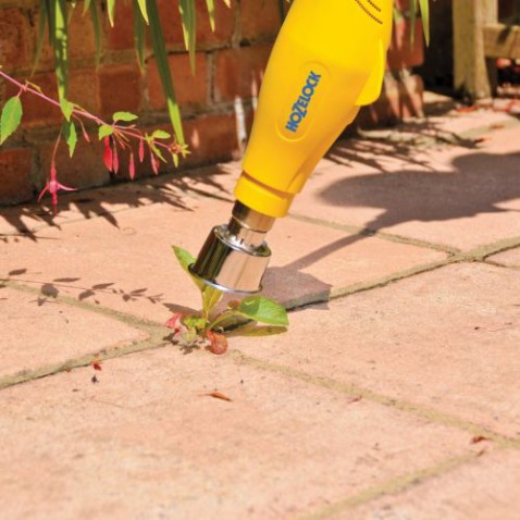 Foto : Onkruid Verwijderen Zonder Chemische Middelen: Duurzame Tuinverzorging