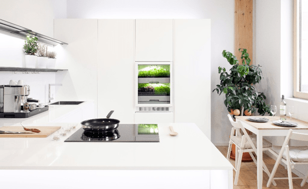 Foto: Wonennl plantcube in kitch urbangardensweb