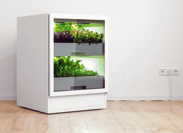 Foto: Wonennl plantcube urbangardensweb