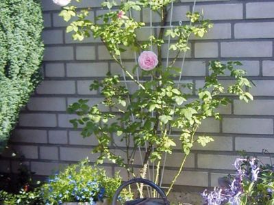 Foto: themes DECORER 400x300