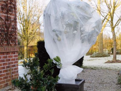 Foto: themes HIVERNER 400x300