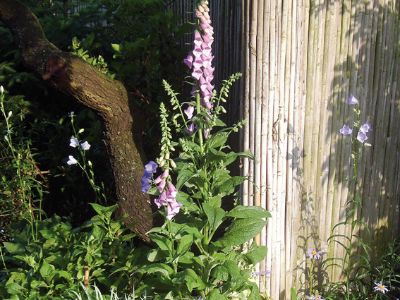 Foto: themes PROTEGER 400x300