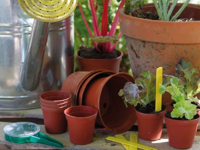 Foto: themes SEMER ET PLANTER 400x300