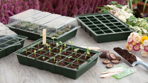 Foto : Natuurlijke elegantie voor jouw buitenruimte