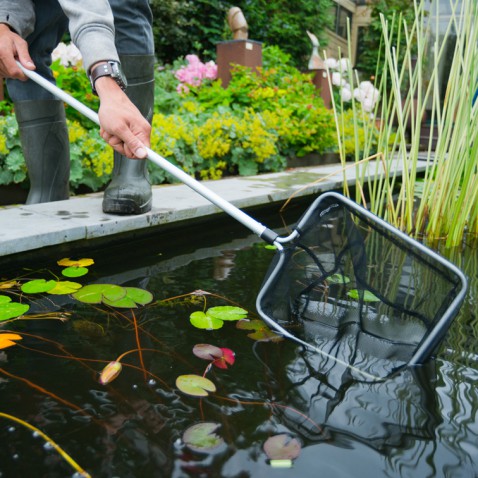 Foto : Zorgeloos genieten met Ubbink – Tips voor gezond vijveronderhoud