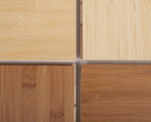 Foto: 20120319 03 D LR BambooNoble 308 248