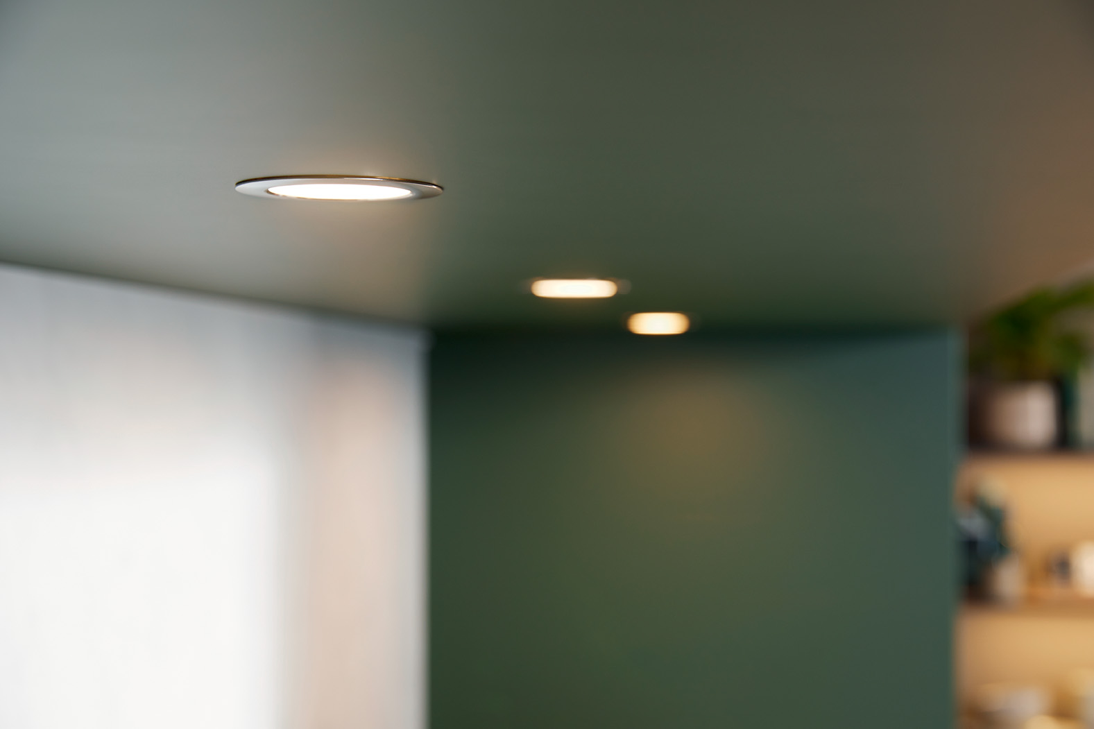 Foto: Schuller L442M Bosgroen fluweelmat 14