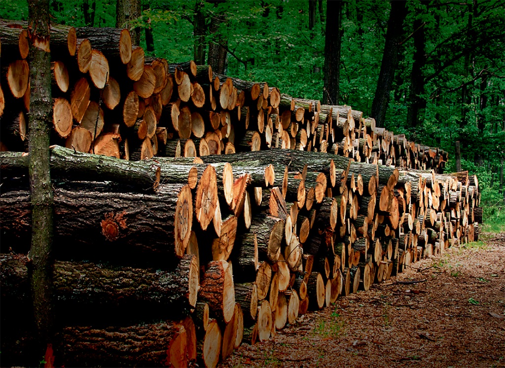 Foto: Haardencentrum Alkmaar haardhout