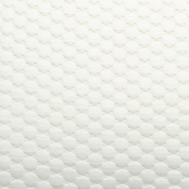 Foto: evolution traagschuim hoofdkussen royal health foam 6