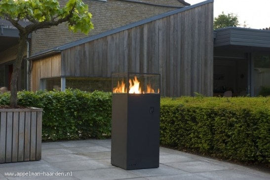 Foto: tulp steelfire